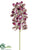 Vanda Orchid Spray - Plum - Pack of 6