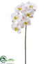Silk Plants Direct Phalaenopsis Orchid Spray - White Pink - Pack of 12