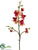 Phalaenopsis Orchid Spray - Coral Burgundy - Pack of 12