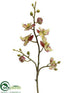 Silk Plants Direct Phalaenopsis Orchid Spray - Green Rubrum - Pack of 12
