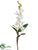 Dendrobium Orchid Flower Plant Bush - White - Pack of 6