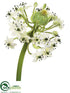 Silk Plants Direct Ornithogalum Spray - Cream - Pack of 12