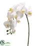 Silk Plants Direct Phalaenopsis Orchid Spray - Cream - Pack of 6