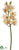 Cymbidium Orchid Spray - Cream Burgundy - Pack of 6