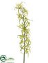 Silk Plants Direct Brassia Orchid Spray - Green Two Tone - Pack of 6
