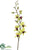 Dendrobium Orchid Spray - Green - Pack of 12