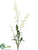 Dendrobium Orchid Plant - Cream - Pack of 4