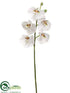 Silk Plants Direct Phalaenopsis Orchid Spray - White Green - Pack of 6