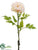 Peony Spray - Cream Peach - Pack of 12