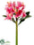 Plumeria Spray - Fuchsia - Pack of 12