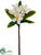 Plumeria Spray - White - Pack of 12