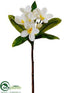 Silk Plants Direct Plumeria Spray - White - Pack of 12