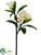 Plumeria Spray - White - Pack of 6