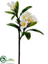 Silk Plants Direct Plumeria Spray - White - Pack of 6