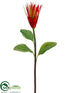 Silk Plants Direct Star Protea Spray - Flame - Pack of 12