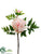 Peony Spray - Pink Two Tone - Pack of 12
