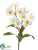 Plumeria Spray - Cream Yellow - Pack of 12
