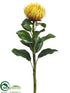 Silk Plants Direct Needle Protea Spray - Yellow - Pack of 12