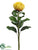 Needle Protea Spray - Yellow - Pack of 12