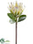 Protea Spray - Green - Pack of 6