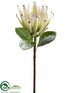 Silk Plants Direct Protea Spray - Green - Pack of 6