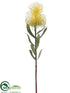 Silk Plants Direct Pincushion Protea Spray - Green - Pack of 12