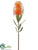 Pincushion Protea Spray - Orange - Pack of 12