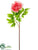 Peony Spray - Coral - Pack of 12