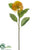 Protea Spray - Orange - Pack of 12