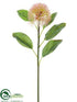Silk Plants Direct Protea Spray - Pink White - Pack of 12