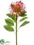 Silk Plants Direct Pincushion Protea Spray - Red - Pack of 12