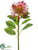 Pincushion Protea Spray - Red - Pack of 12