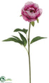 Silk Plants Direct Peony Spray - Fuchsia Cream - Pack of 12