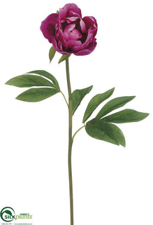 Peony Spray - Rubrum - Pack of 12