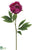 Peony Spray - Rubrum - Pack of 12