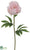 Peony Spray - Blush - Pack of 12