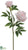 Peony Spray - Blush - Pack of 12