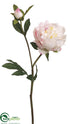 Silk Plants Direct Peony Spray - Cream Cerise - Pack of 12