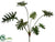 Split Leaf Philodendron Plant - Green - Pack of 12