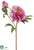 Vintage Peony Spray - Orchid - Pack of 12