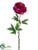 Peony Spray - Rubrum - Pack of 12