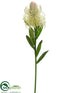 Silk Plants Direct Protea Spray - Cream Green - Pack of 12