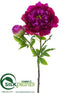 Silk Plants Direct Peony Spray - Rubrum Boysenberry - Pack of 6