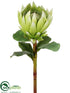 Silk Plants Direct Giant King Protea Spray - Green - Pack of 6