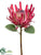 Protea Spray - Pink - Pack of 6