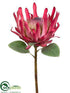 Silk Plants Direct Protea Spray - Pink - Pack of 6