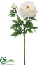 Silk Plants Direct Peony Spray - White - Pack of 12