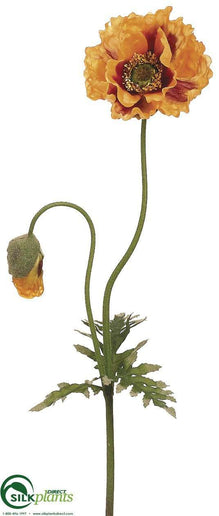 Poppy Spray - Yellow Brown - Pack of 12