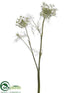 Silk Plants Direct Queen Anne's Lace Spray - Cream Green - Pack of 12