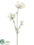 Silk Plants Direct Queen Anne's Lace Spray - Cream - Pack of 12